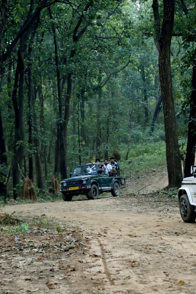 Safari Gypsy Group