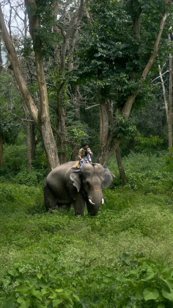 Jim Corbett National Park Uttrakhand
